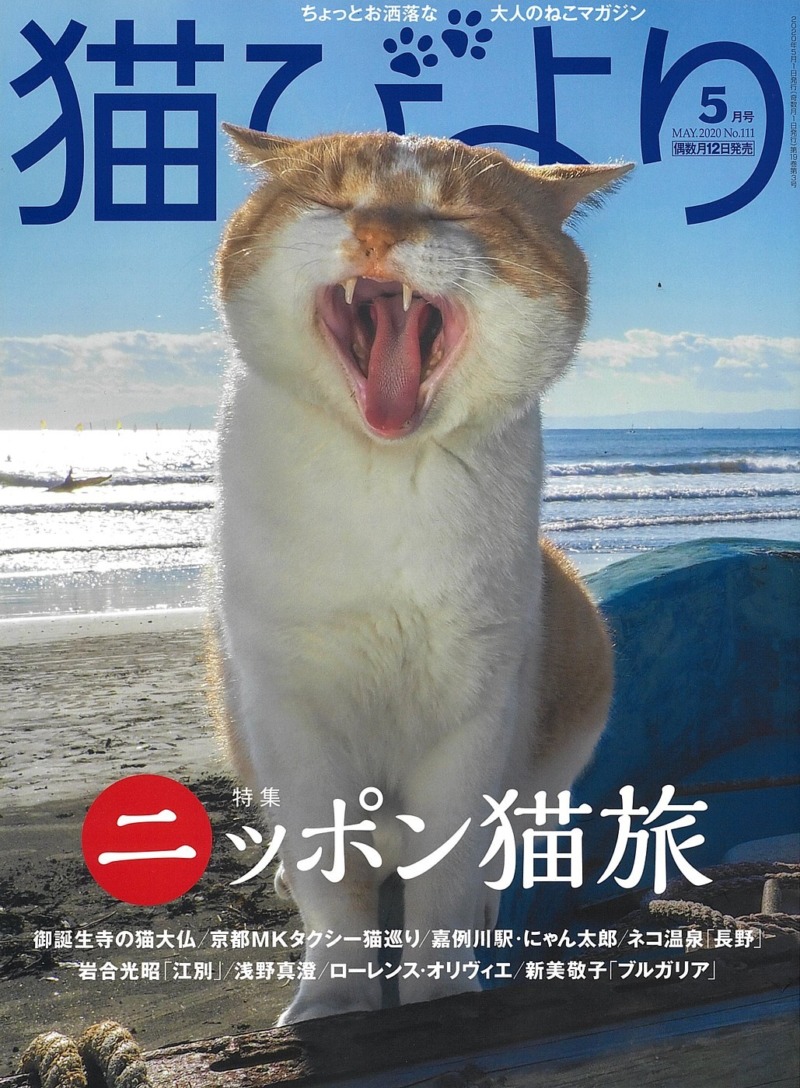 メディア掲載 猫びより 5月号 年4月11日発売 に掲載 株式会社ヒューマル